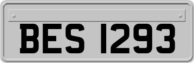 BES1293