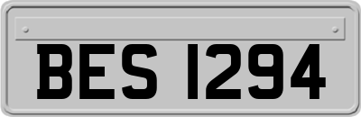 BES1294