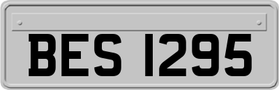 BES1295