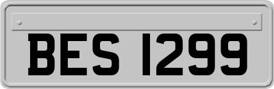 BES1299