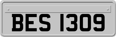 BES1309