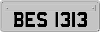 BES1313