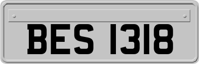 BES1318