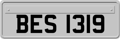 BES1319