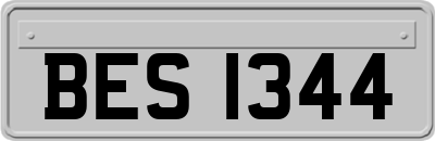 BES1344