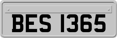 BES1365