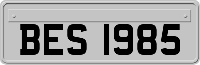 BES1985