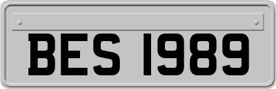 BES1989