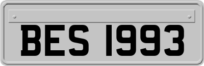 BES1993