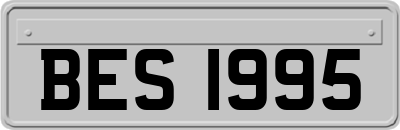 BES1995