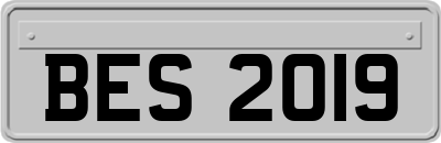 BES2019