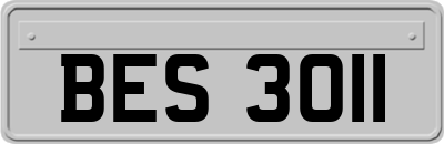 BES3011