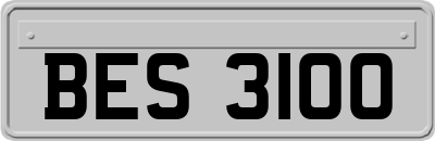 BES3100