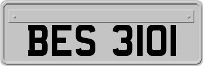 BES3101