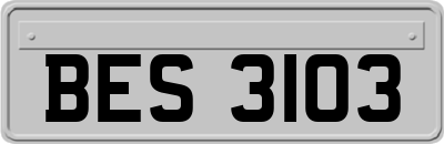 BES3103