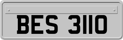 BES3110