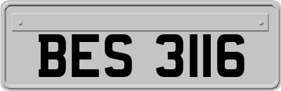 BES3116