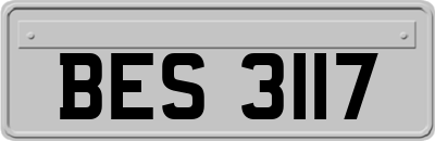 BES3117