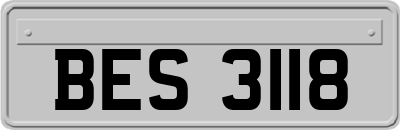 BES3118