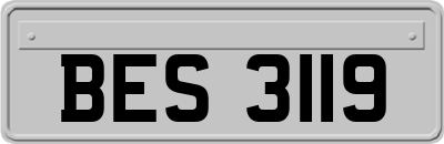 BES3119