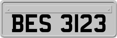 BES3123