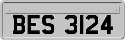 BES3124