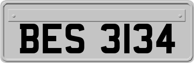 BES3134