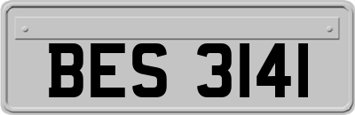 BES3141