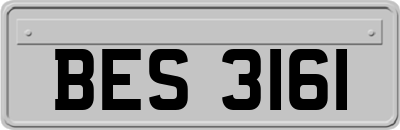 BES3161