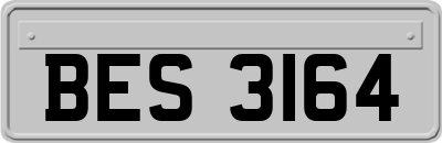 BES3164