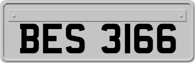 BES3166