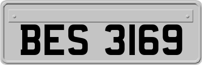 BES3169