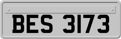 BES3173