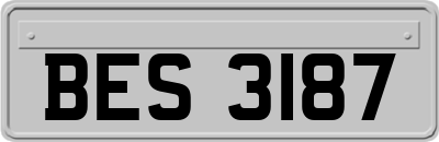 BES3187