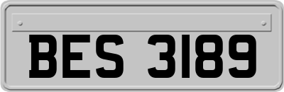 BES3189