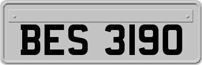 BES3190