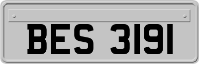 BES3191