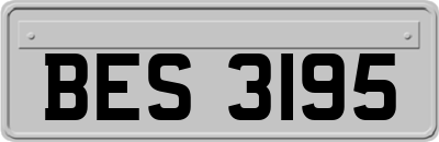 BES3195