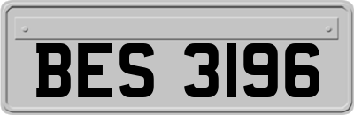 BES3196