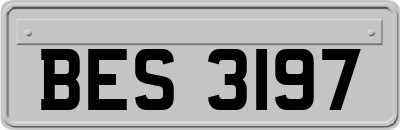 BES3197