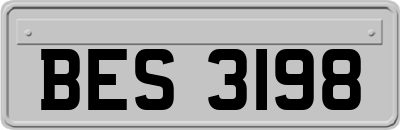 BES3198