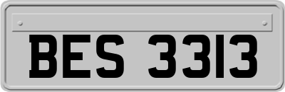 BES3313