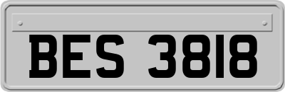 BES3818