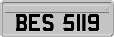 BES5119