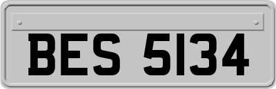 BES5134