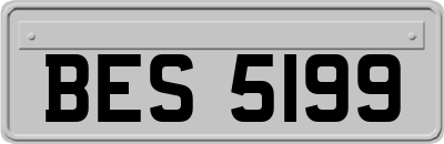 BES5199