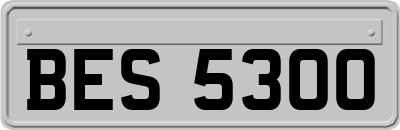 BES5300