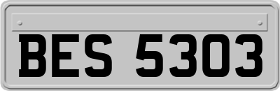 BES5303