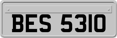 BES5310