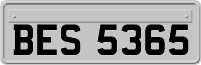 BES5365